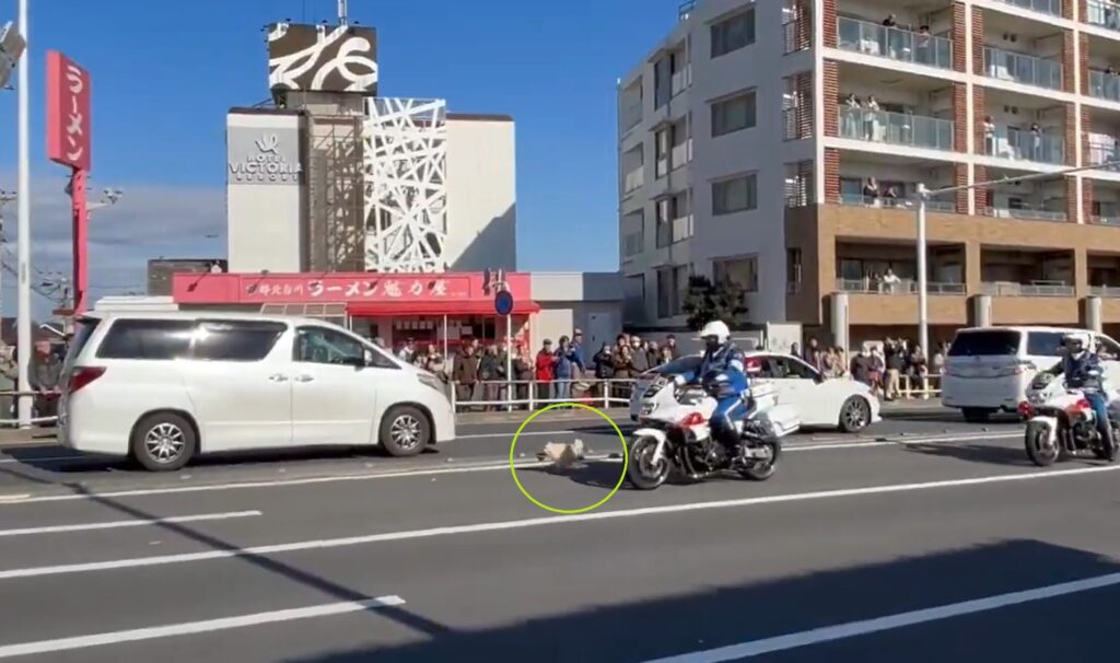 箱根駅伝で犬が乱入?3区で起きたハプニングを整理