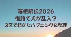箱根駅伝で犬が乱入？3区で起きたハプニングを整理