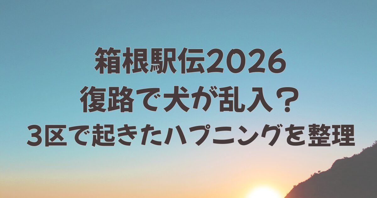 箱根駅伝で犬が乱入？3区で起きたハプニングを整理
